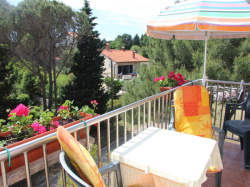 Apartmani Villa Ivana Premantura