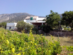 Holiday home Ana Bol (Island Brac)