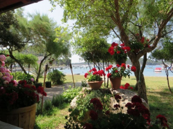 Vila Tamaris Palit (Otok Rab)